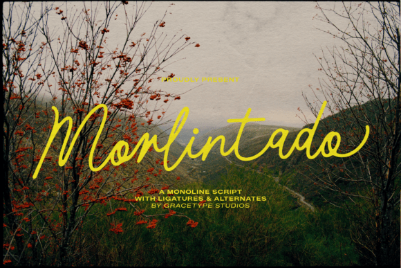 Morlintado: Capturing the Grace of Autumn's First Light