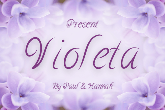 The Violeta Font: A Guide to Its Mysterious Appeal