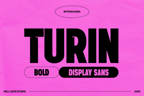 Turin: The Display Font for Commanding Visuals